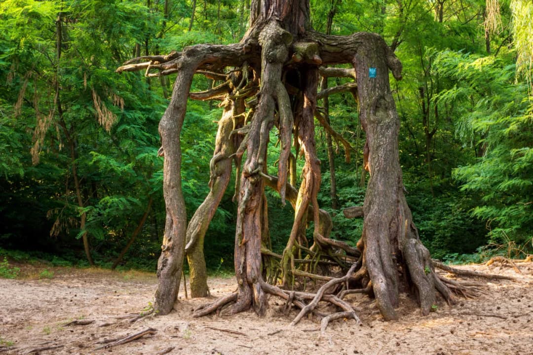 Atrakcje Buska-Zdroju, które zaskoczą każdego turystę