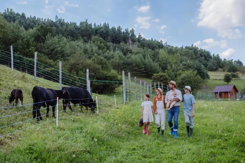 Czy agroturystyka jest działalnością gospodarczą? Sprawdź, co musisz wiedzieć