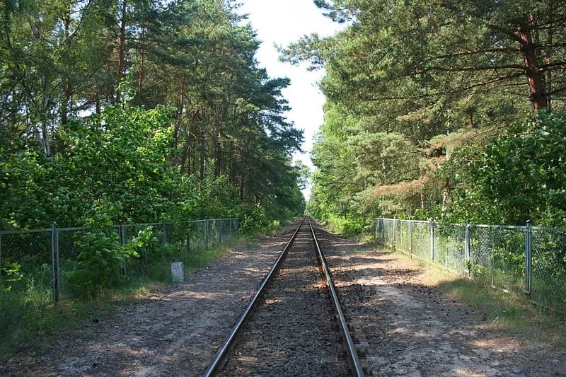Ile kosztuje bilet na pociąg z Władysławowa na Hel? Sprawdź ceny!